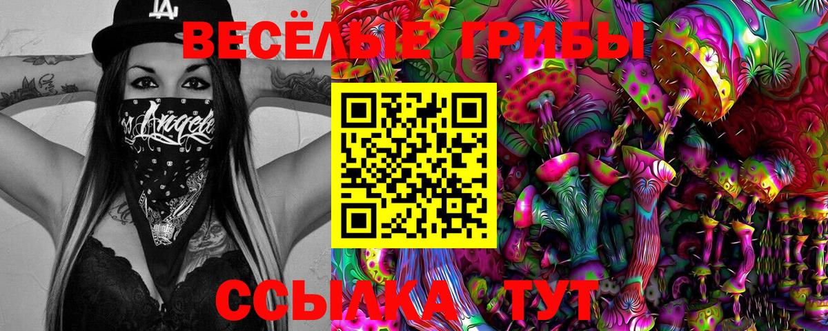 Псилоцибиновые грибы GOLDEN TEACHER Набережные Челны